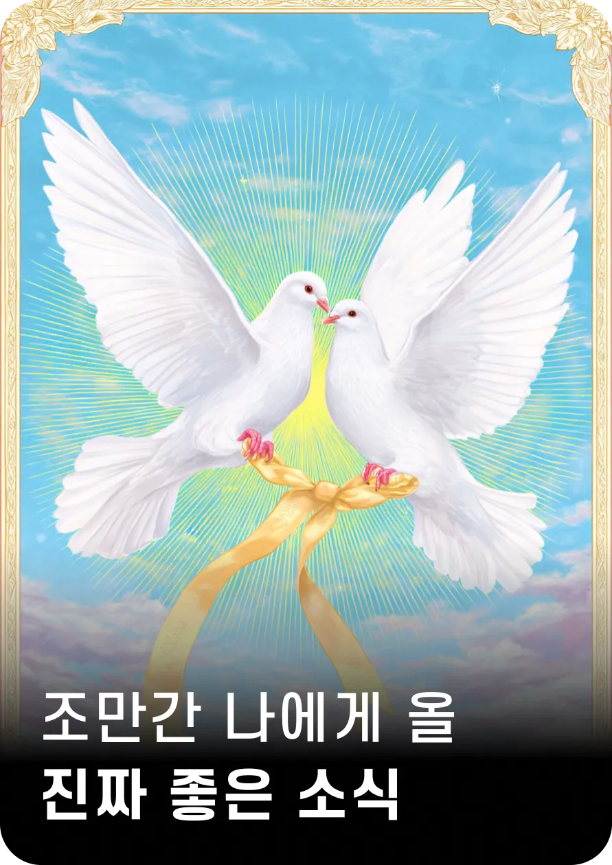 조만간 나에게 올
진짜 좋은 소식